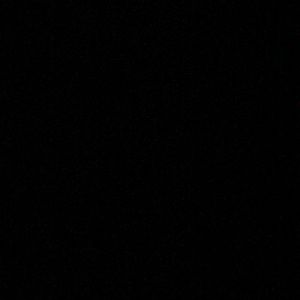 Meet your Posher, Wayne